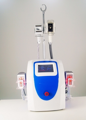 Helada gordo de Lipolaser Cryolipolysis que adelgaza el vacío 60Hz de la máquina con las manijas 1