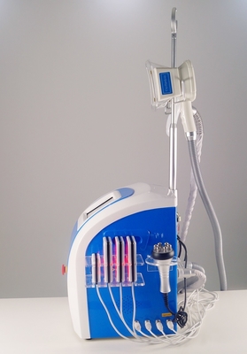 Helada gordo de Lipolaser Cryolipolysis que adelgaza el vacío 60Hz de la máquina con las manijas 1
