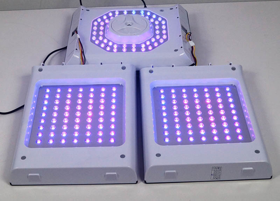 Color ligero rojo facial de la máquina 24W 6 de la terapia de la luz de PDT LED para el acné