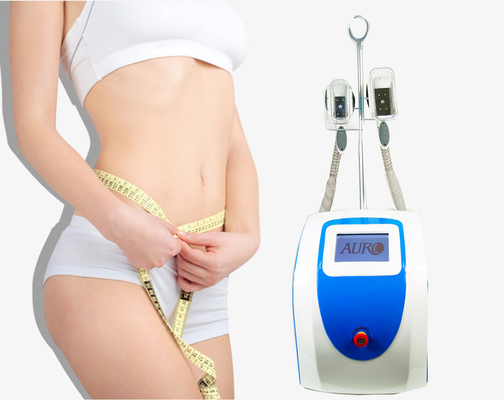 2 manija Cryolipolysis que adelgaza pérdida gorda de la reducción de las celulitis de la máquina