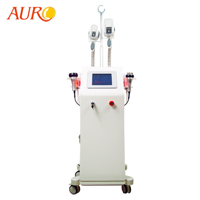 Máquina vertical 4 del RF de la cavitación en 1 máquina fría de la cavitación de Lipo del mejor del laser de Cryo de la reducción gorda