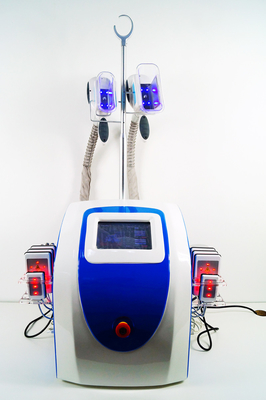 máquina de la belleza de la cavitación de las puntas de prueba de la máquina dos de 500W RF Cryo Lipo