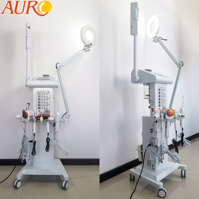 14 en un 50Hz - 60Hz cuidado de piel galvánico facial multifuncional de la máquina 960W
