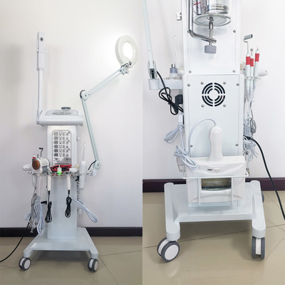 Máquina facial multifuncional 14 del depurador de la piel en 1 color blanco para el balneario