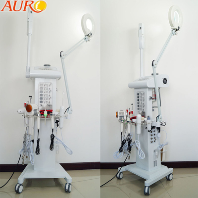 Lámpara que magnifica facial multifuncional de la máquina 110V 220V del espray del vacío del salón