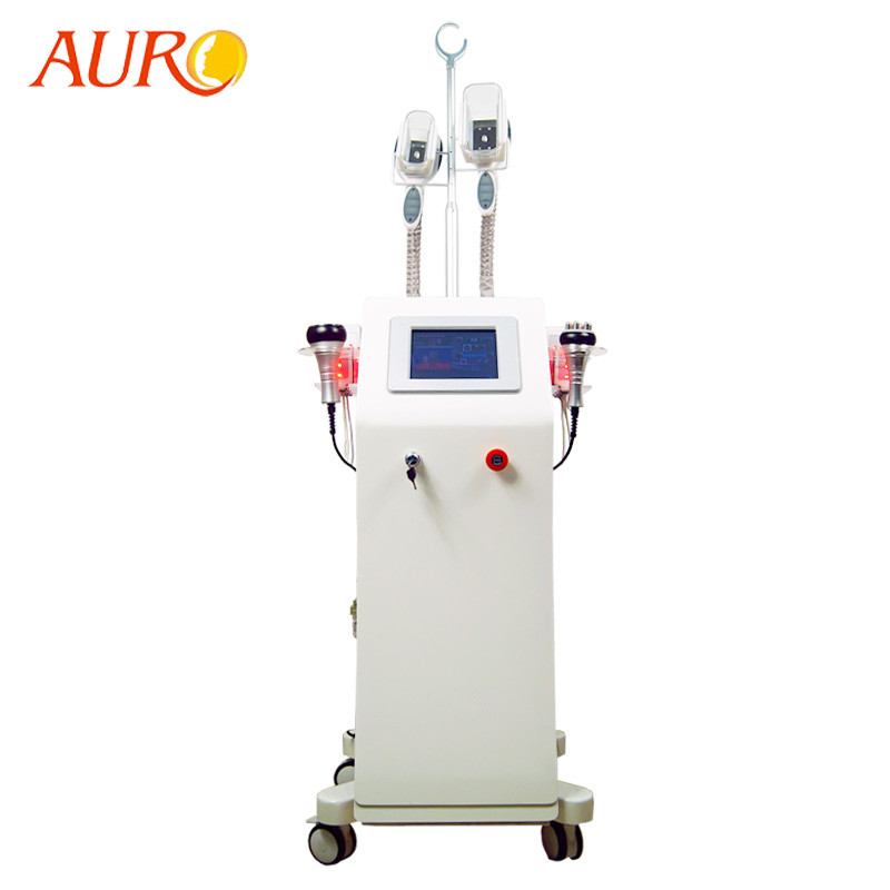 Máquina vertical 4 del RF de la cavitación en 1 máquina fría de la cavitación de Lipo del mejor del laser de Cryo de la reducción gorda